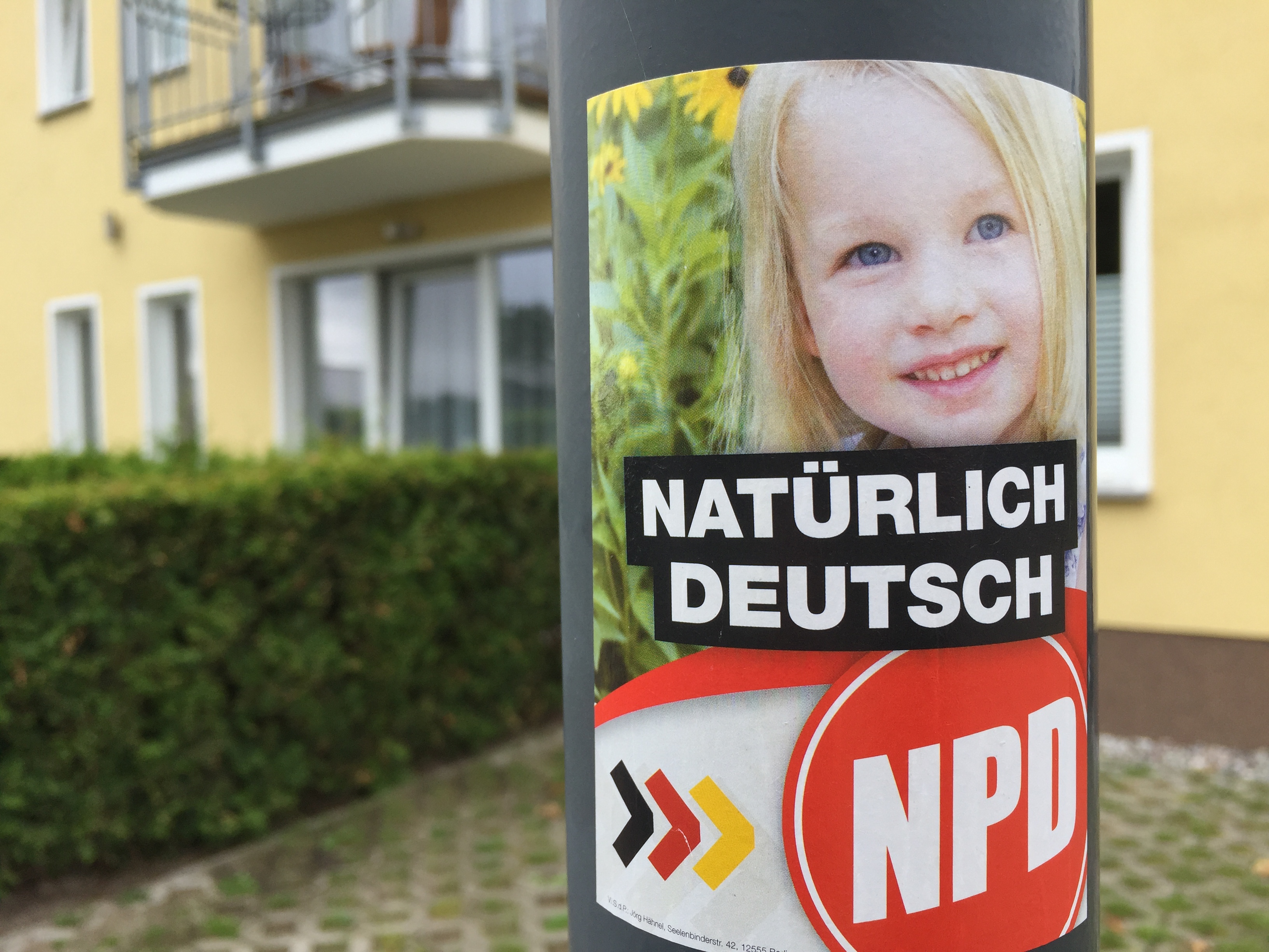 Wahlwerbung Steffen Peter Ballstaedt